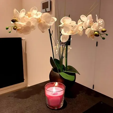Duplex Beach House Fifty6 Apartment Blankenberge